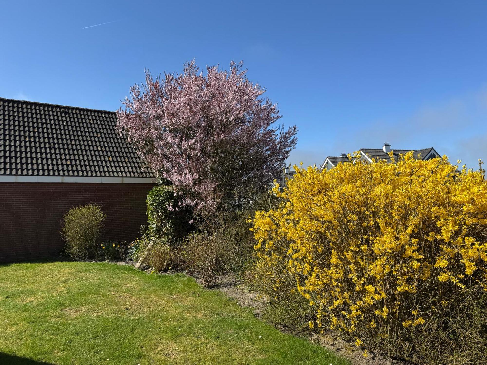 Haus Nordstrand Büsum Quarto foto